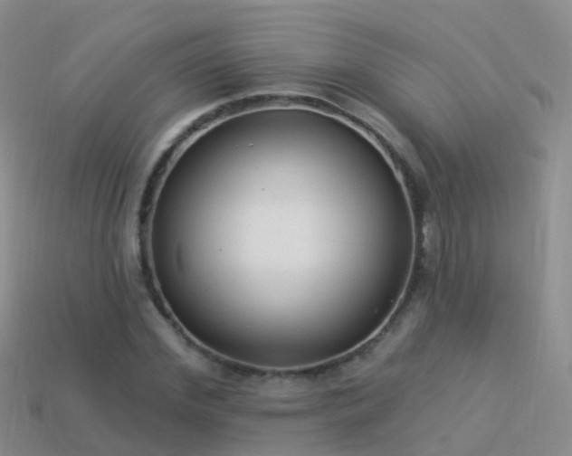 X0000114160972200910151602