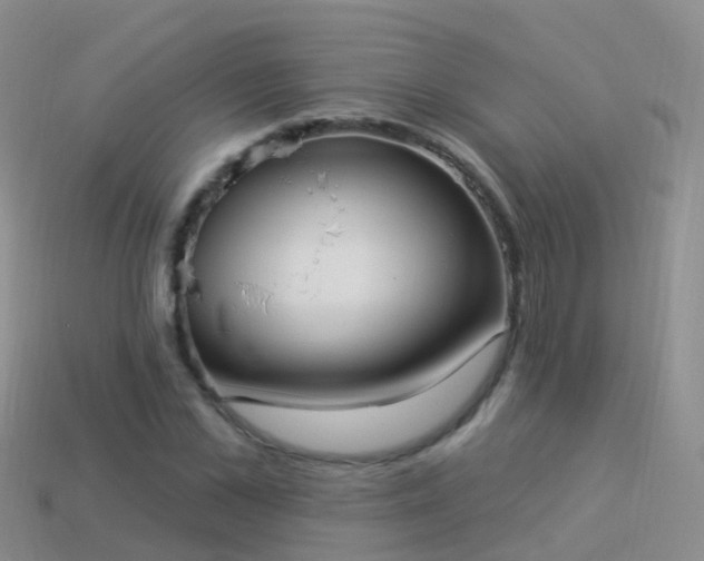 X0000114160973200910151602