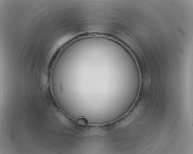 X0000114160974200910151602