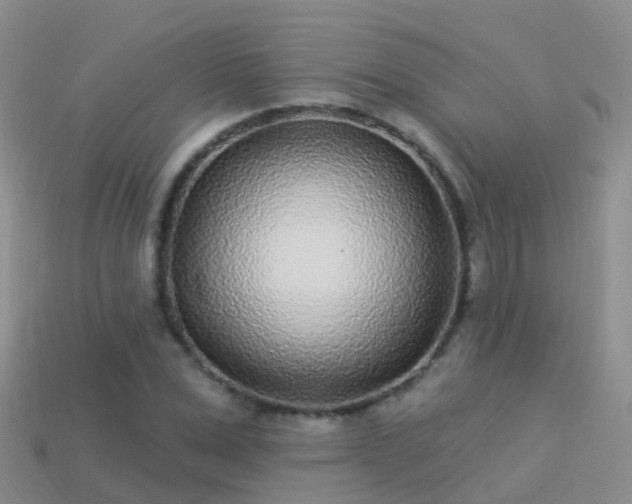 X0000114160975200910151602