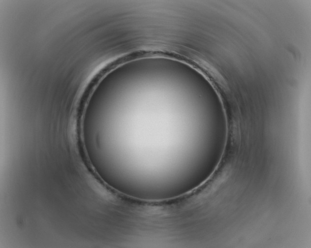 X0000114160976200910151602