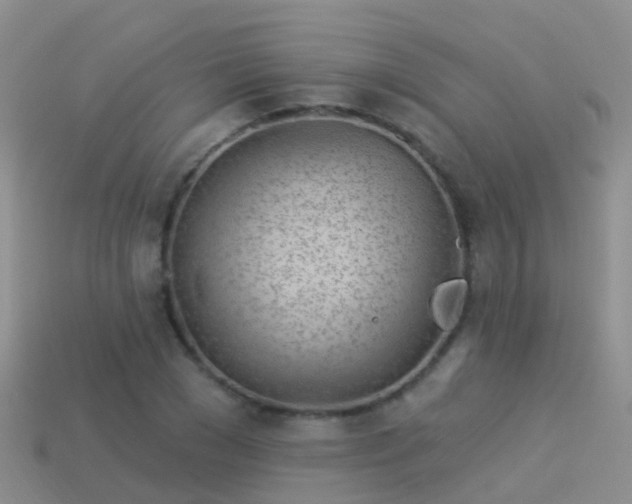 X0000114160977200910151602