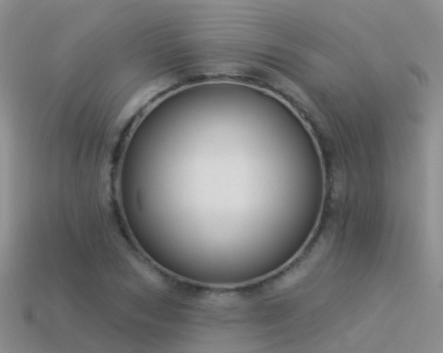 X0000114160978200910151602