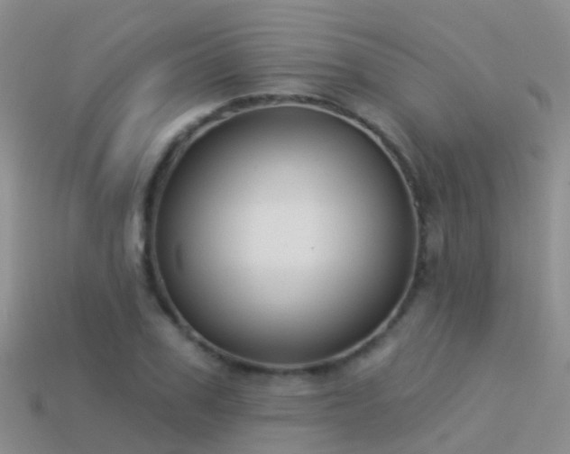 X0000114160979200910151602