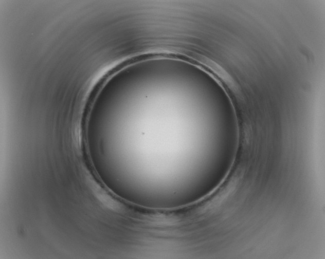 X0000114160980200910151602