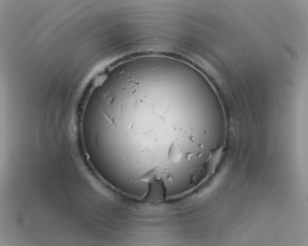 X0000114160981200910151602