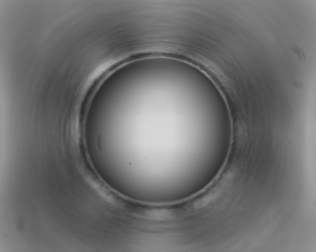 X0000114160982200910151602