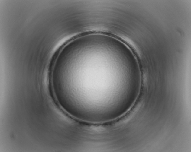 X0000114160983200910151602