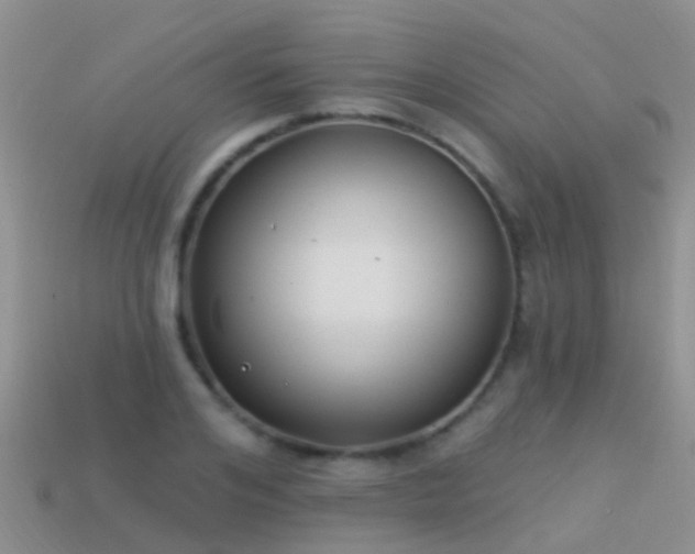 X0000114160984200910151602