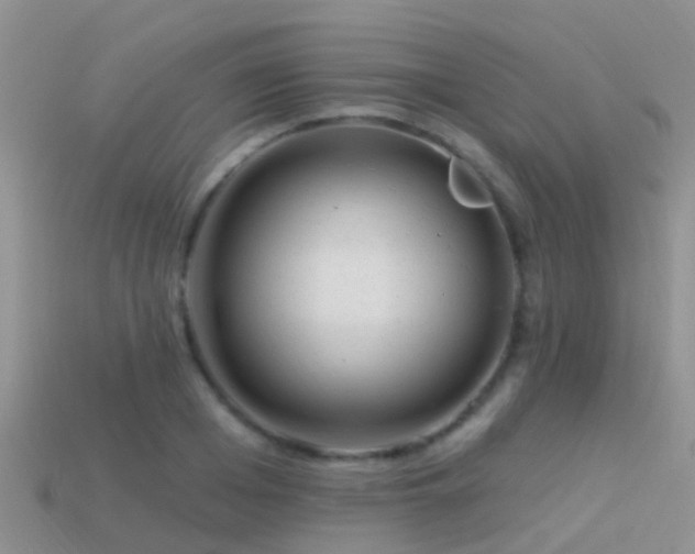 X0000114160985200910151602