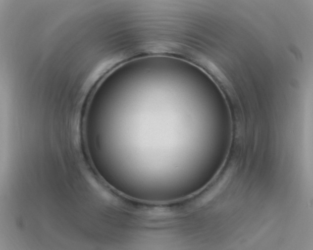 X0000114160986200910151602