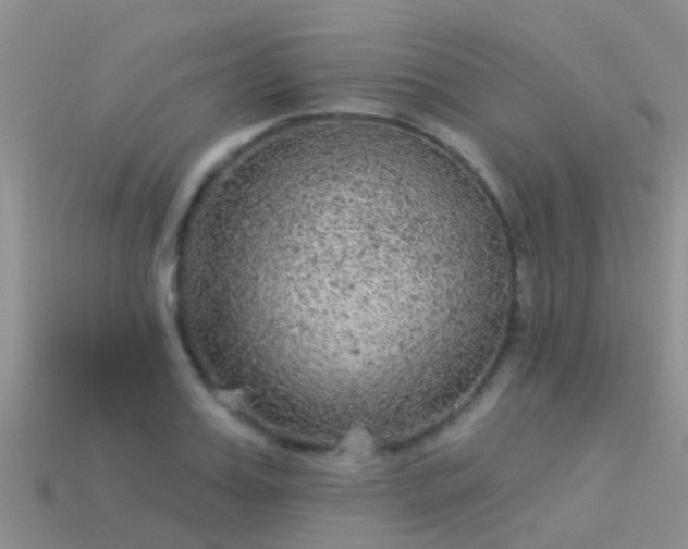 X0000114160987200910151602