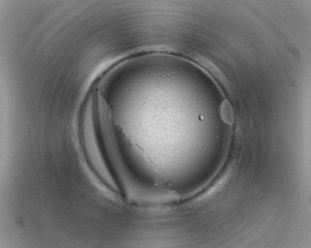 X0000114160989200910151602