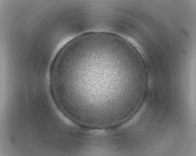 X0000114160990200910151602