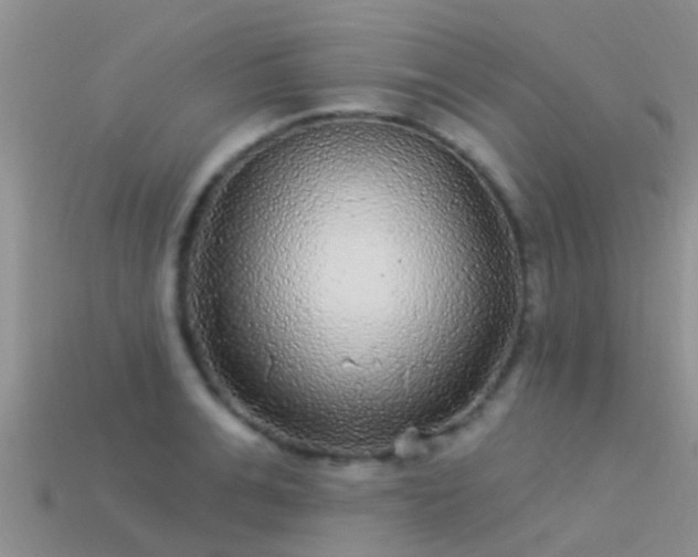 X0000114160991200910151602