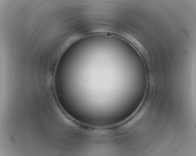 X0000114160993200910151602