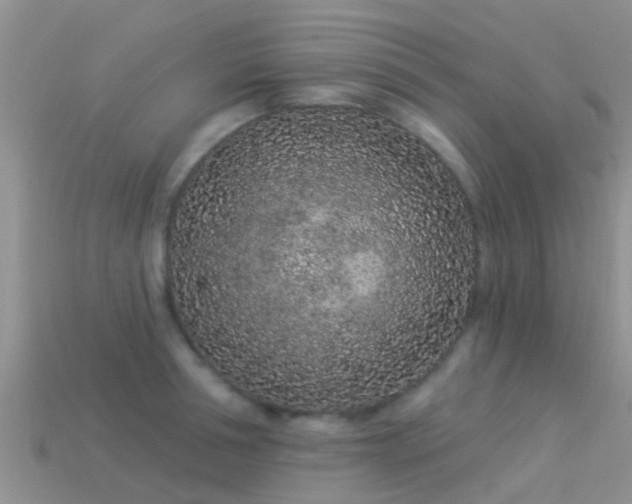 X0000114160994200910151602