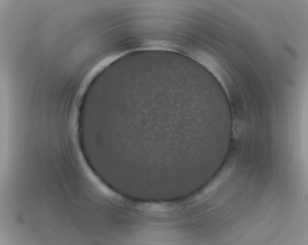 X0000114160995200910151602