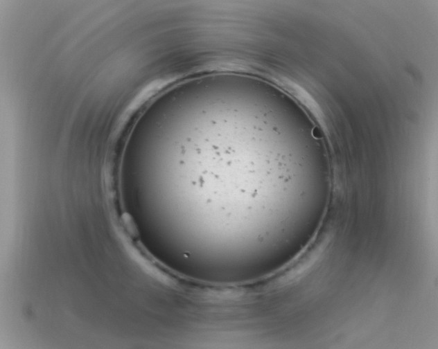 X0000114160997200910151602