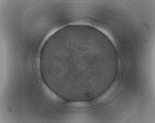 X0000114160998200910151602