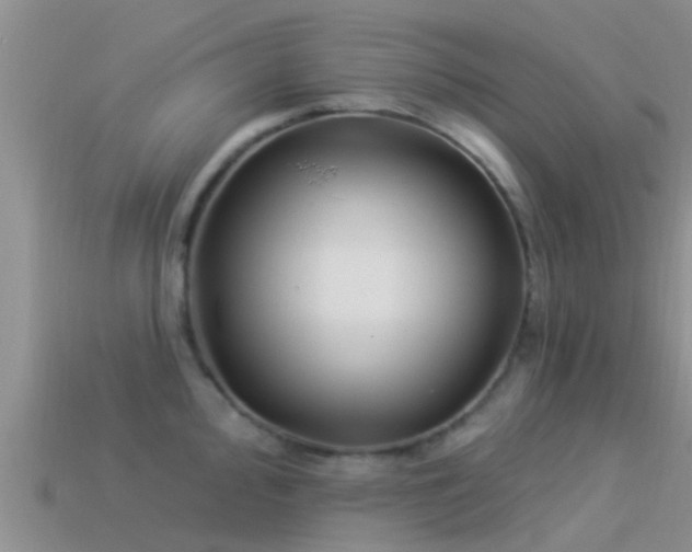 X0000114161000200910151602