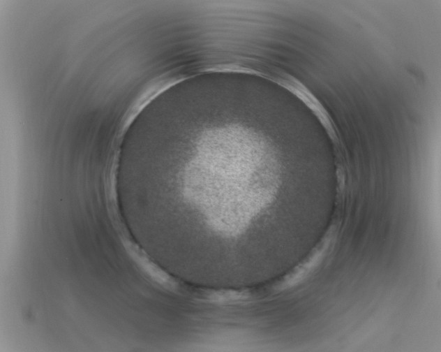 X0000114161002200910151602