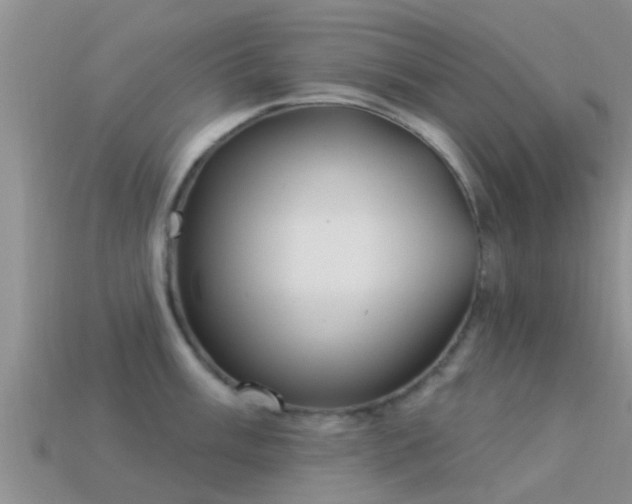 X0000114161003200910151602