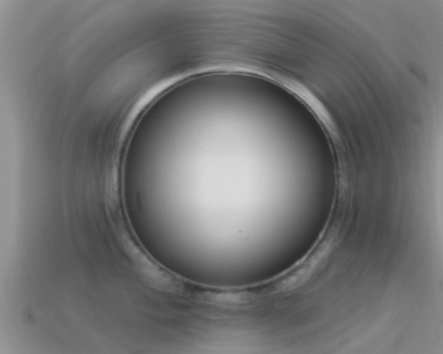 X0000114161004200910151602