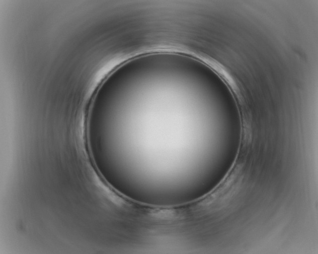 X0000114161006200910151602