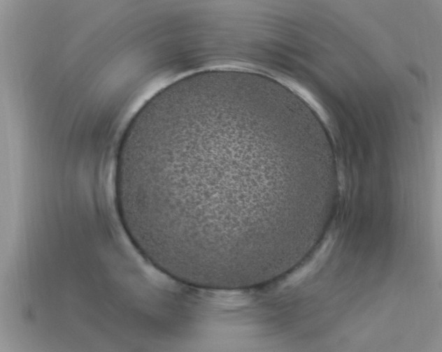 X0000114161007200910151602