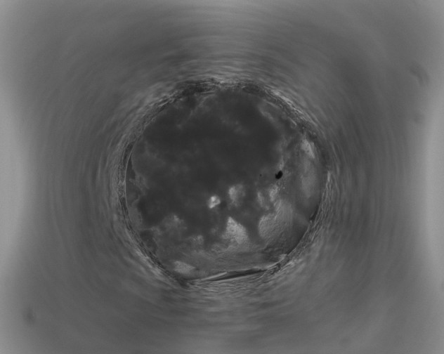 X0000114161009200910151601