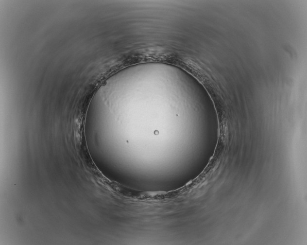 X0000114161010200910151601