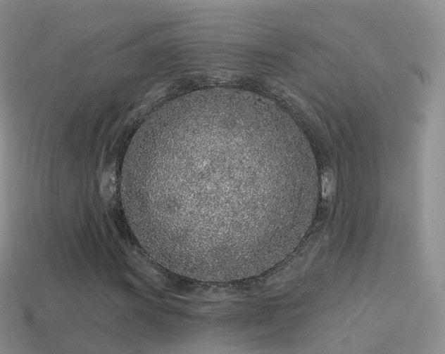 X0000114161011200910151601