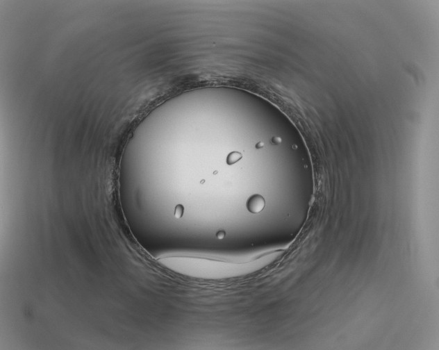 X0000114161012200910151601