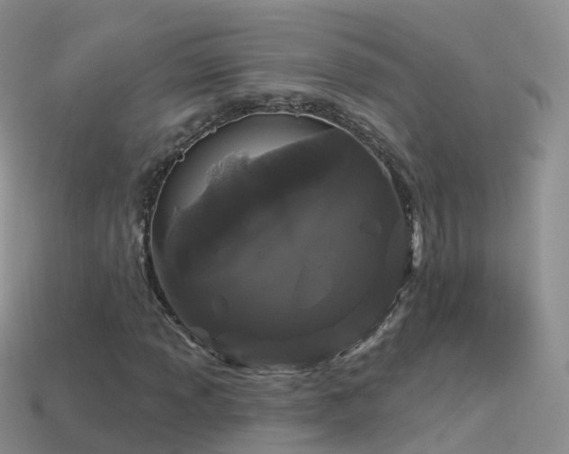 X0000114161013200910151601