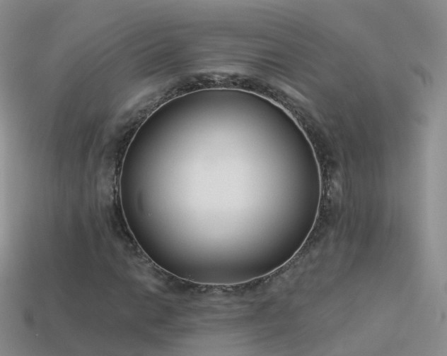 X0000114161014200910151601