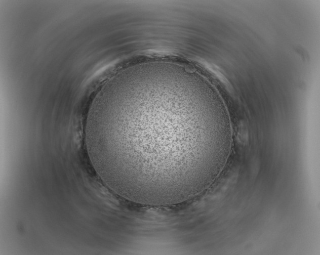 X0000114161015200910151601