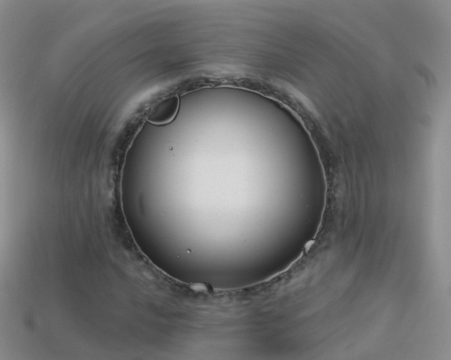 X0000114161016200910151601