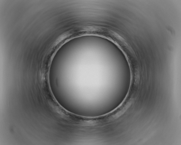 X0000114161017200910151601