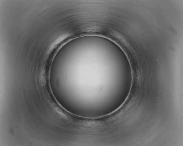 X0000114161018200910151601