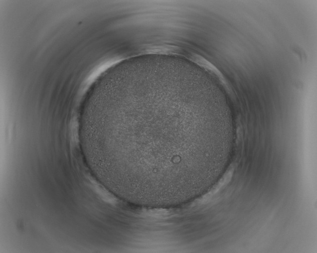 X0000114161019200910151601