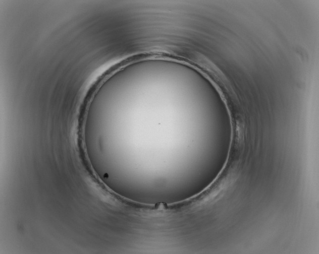 X0000114161020200910151601