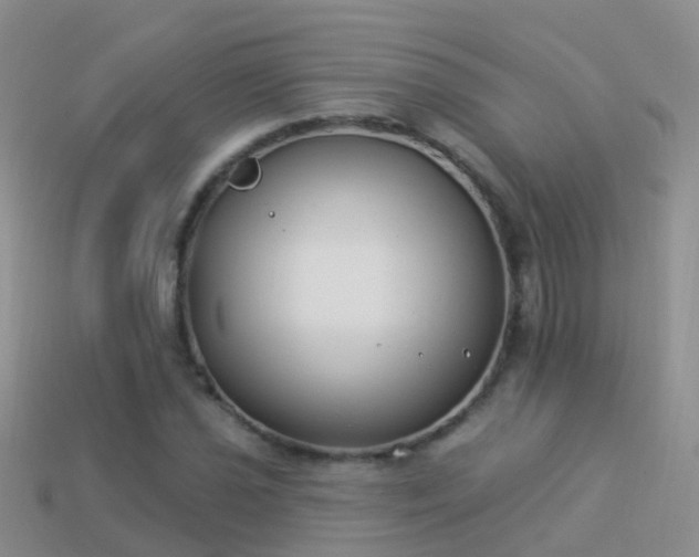 X0000114161021200910151601