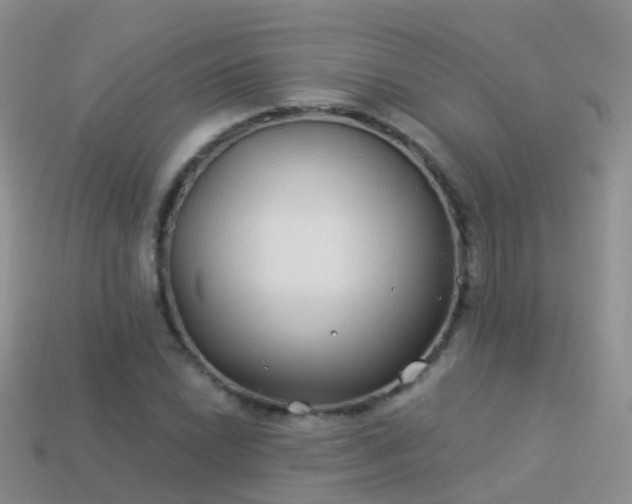 X0000114161022200910151601