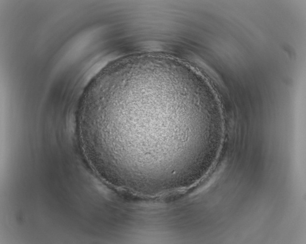 X0000114161023200910151601