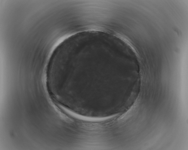 X0000114161024200910151601