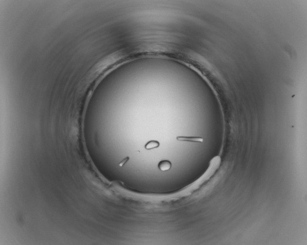 X0000114161025200910151601