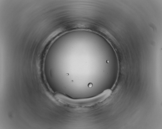 X0000114161026200910151601