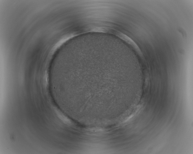 X0000114161027200910151601