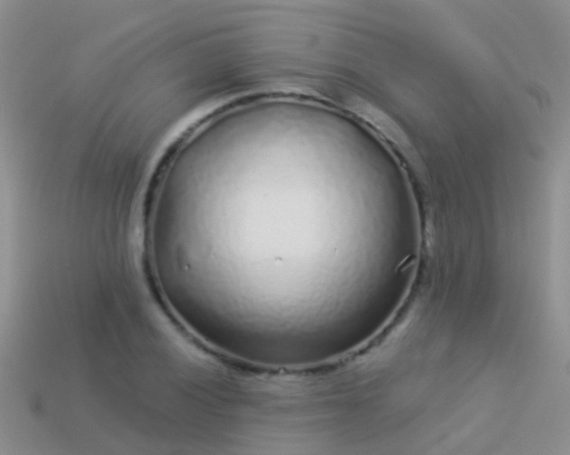 X0000114161028200910151602